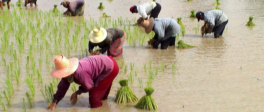 Centre de la Thaïlande