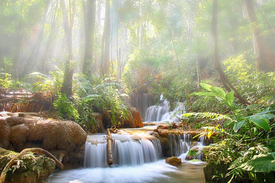 A voir à Chiang Rai et alentours