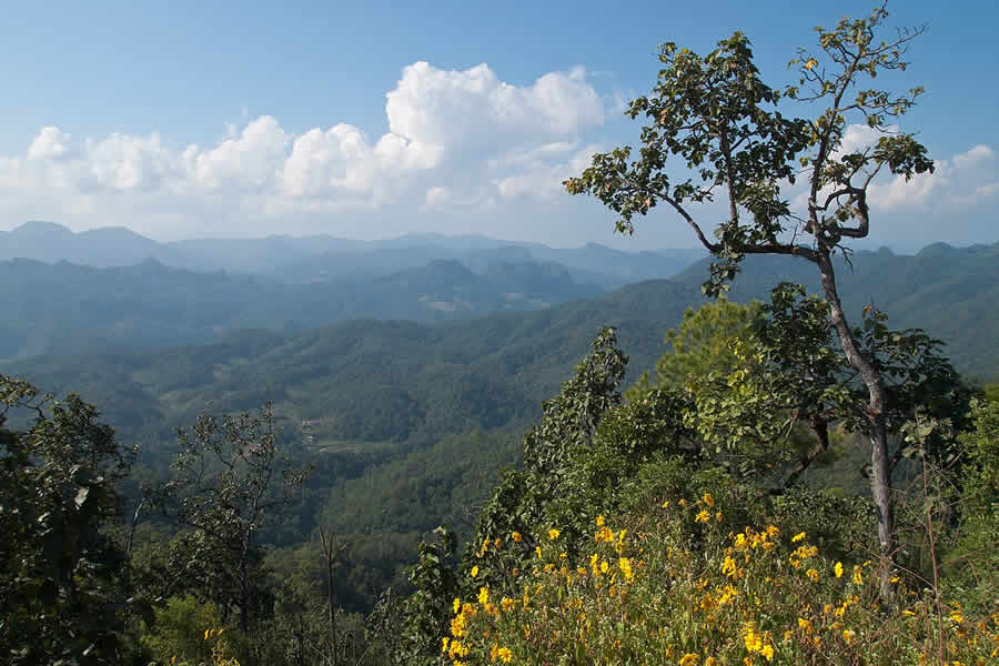 Montagnes à proximité de la frontière avec le Myanmar