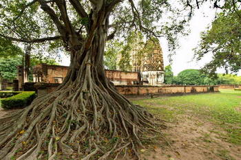 Wat Si Sawai