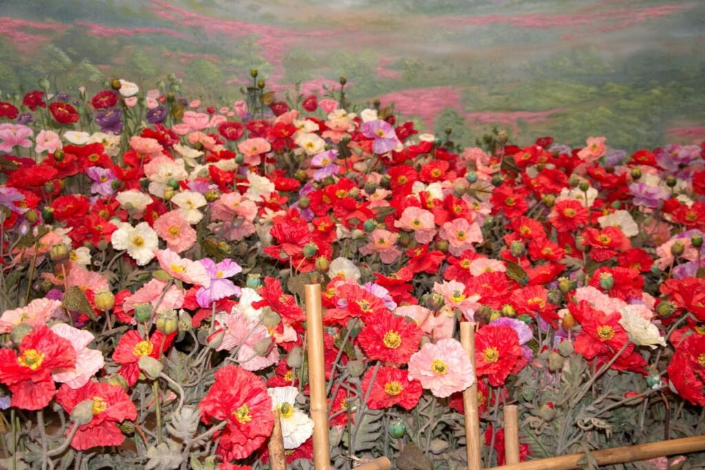 House of Opium Museum