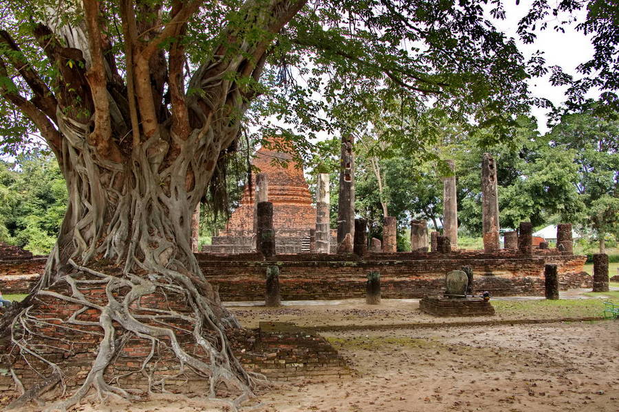 Wat Mangkorn