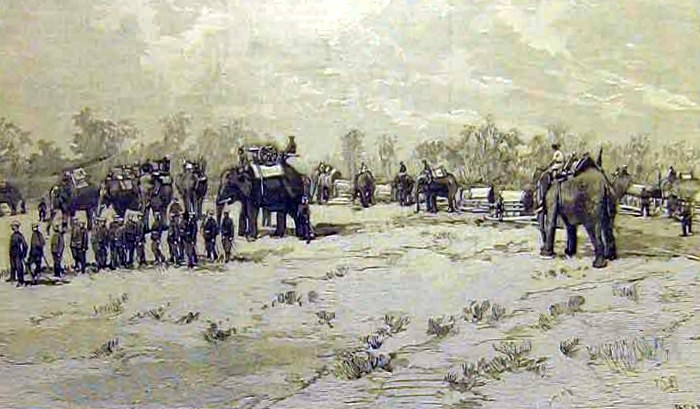 Les éléphants de guerre